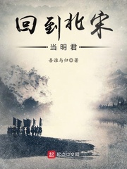 北宋振興攻略 cover 封面