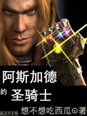 阿斯加德的圣騎士 cover 封面