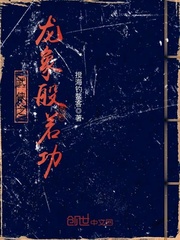 武俠之龍象般若功 cover 封面