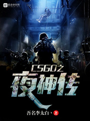 CSGO之夜神傳 cover 封面