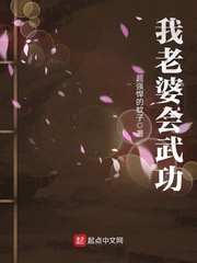 我老婆會武功 cover 封面