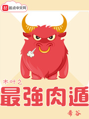 木葉之最強肉遁 cover 封面