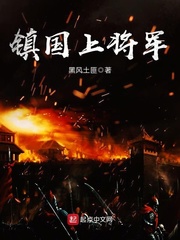 鎮國上將軍 cover 封面