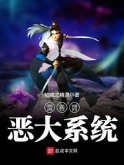 賞善罰惡大系統 cover 封面
