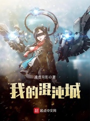 我的混沌城 cover 封面
