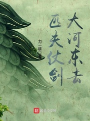 匹夫仗劍大河東去 cover 封面