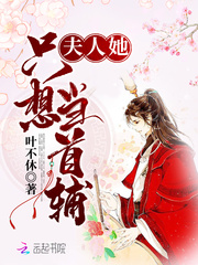 夫人她只想當(dāng)首輔 cover 封面