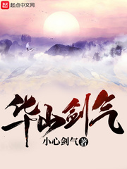 華山劍氣 cover 封面