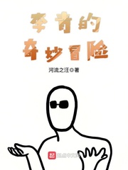 李青的奇妙冒險(xiǎn) cover 封面