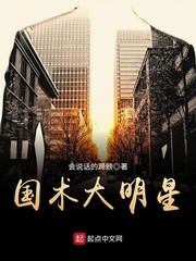 國術大明星 cover 封面