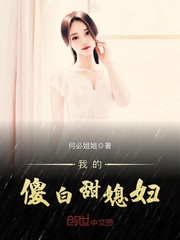 我的傻白甜媳婦 cover 封面