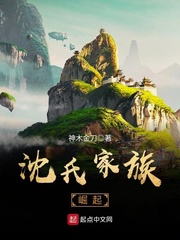 沈氏家族崛起 cover 封面