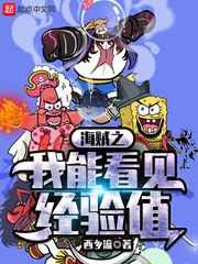 海賊之我能看見經驗值 cover 封面