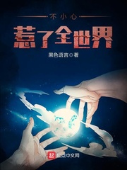 不小心惹了全世界 cover 封面