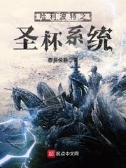 哈利波特之圣杯系統