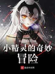 小精靈的奇妙冒險(xiǎn) cover 封面