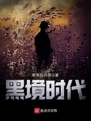 黑境時(shí)代 cover 封面