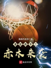 灌籃高手之赤木來襲 cover 封面