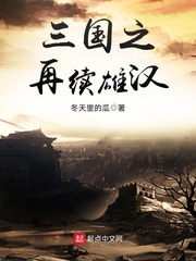 三國之再續雄漢 cover 封面