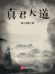 真君大道 cover 封面