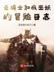 圣騎士和瘋巫妖的冒險日志 cover 封面