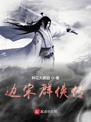 邊宋群俠傳 cover 封面