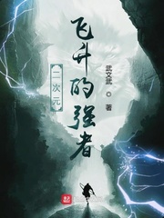 二次元飛升的強者 cover 封面