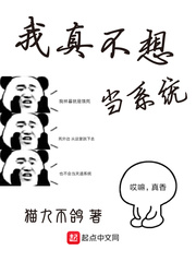 我真不想當(dāng)系統(tǒng)