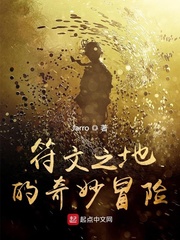 符文之地的奇妙冒險 cover 封面