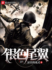 銀色尾翼 cover 封面