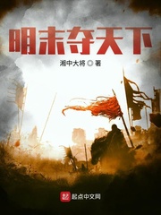 明末奪天下 cover 封面