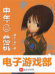 中年危機電子游戲部 cover 封面