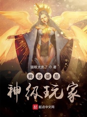 我老婆是神級玩家 cover 封面