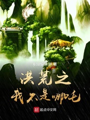 洪荒之我不是哪吒 cover 封面