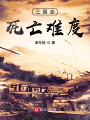 三國志死亡難度 cover 封面