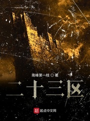 二十三區(qū) cover 封面