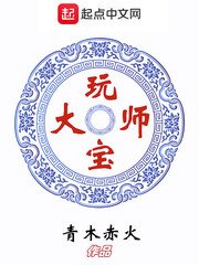玩寶大師 cover 封面