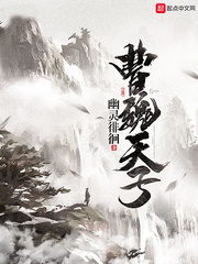 曹魏天子 cover 封面