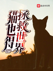 貓也得拯救世界 cover 封面