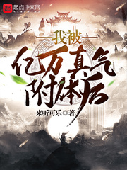 我被億萬真氣附體后 cover 封面