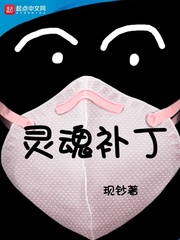 靈魂補丁 cover 封面