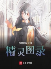 精靈圖錄 cover 封面