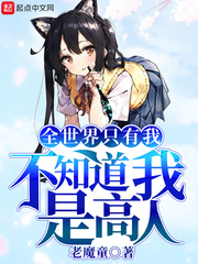 全世界只有我不知道我是高人 cover 封面