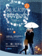 陸太太的甜婚日常 cover 封面