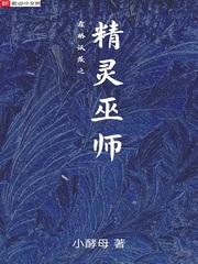 霍格沃茨之精靈巫師 cover 封面