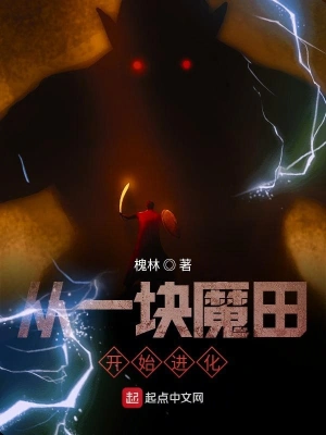 從一塊魔田開始進化 cover 封面