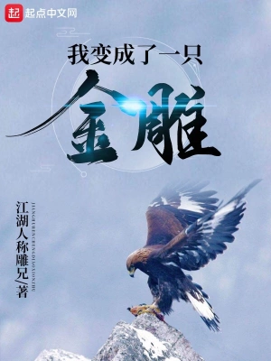 我變成了一只金雕 cover 封面