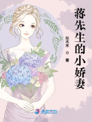 蔣先生的小嬌妻 cover 封面