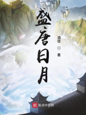 盛唐日月 cover 封面