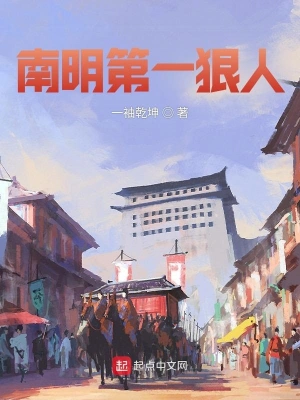 南明第一狠人 cover 封面